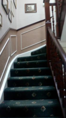 Hotel Aynetree Guest House