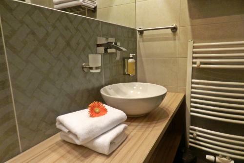 Wellness Hotel Boze?ov