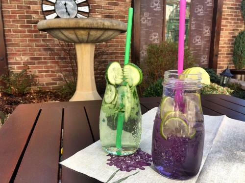 Hostal Penzion Bily Beranek