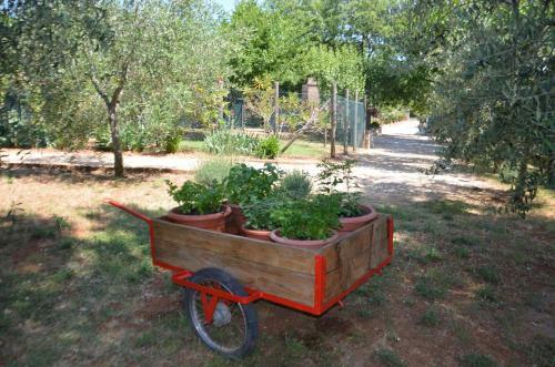 Apartamento Casale Santa Caterina