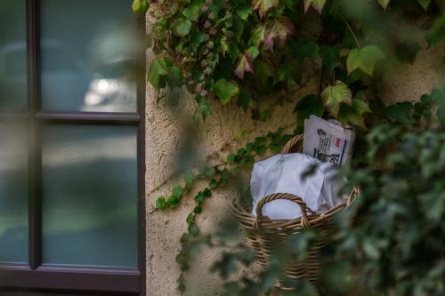 Apartamento La Darbia
