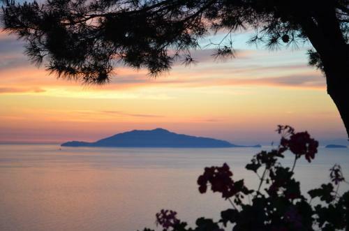 Alle Ginestre Capri B&B