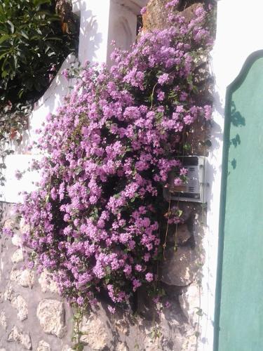 B&B Angelide