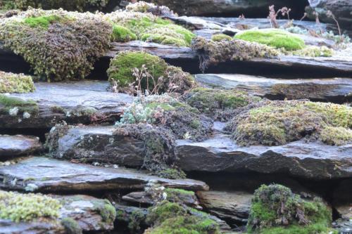 Apartamento Appartamento Fiernaz