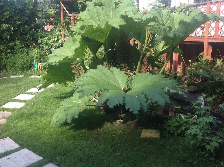 Bed & Breakfast Avonpark House