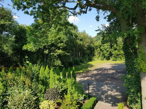 Hostal Gasthof Bucksande