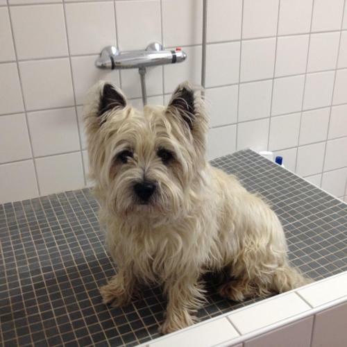 Hotel To`n Schlagboom