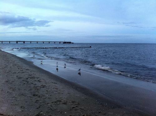 Landwerthotel Gutshof Insel Usedom