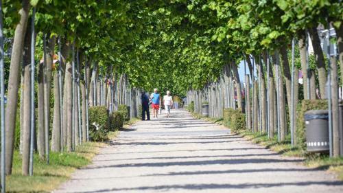 Ostseehaus R�gen