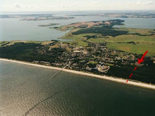 Ferienwohnung Mondfisch An Der Ostsee