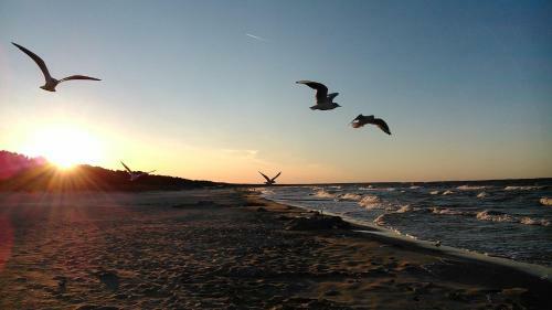 Ferienwohnung Mondfisch An Der Ostsee