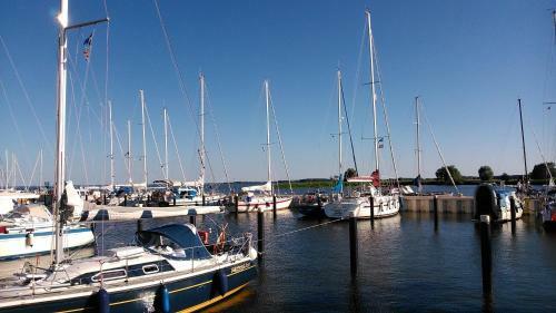 Ferienwohnung Mondfisch An Der Ostsee