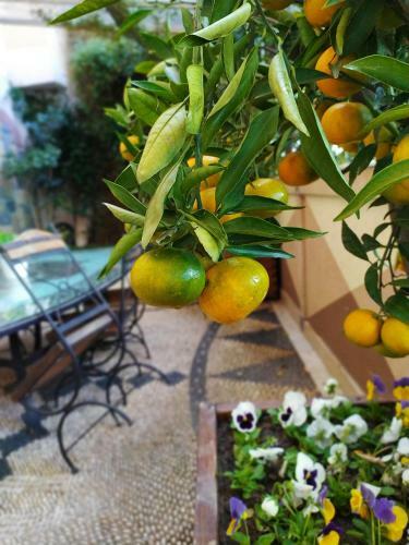 Hotel Best Western Antea Palace