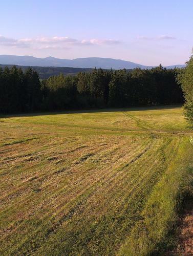 Hostal Penzion Pod Vyhl�dkou