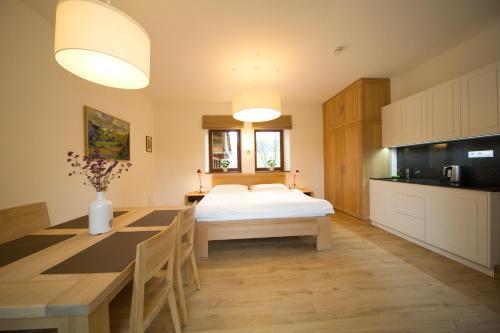 Hostal Penzion Star� V�penka