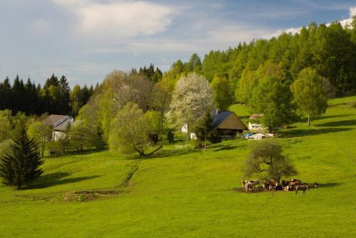 Hostal Penzion Star� V�penka