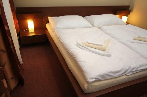 Hostal Penzion Haydnuv Dum