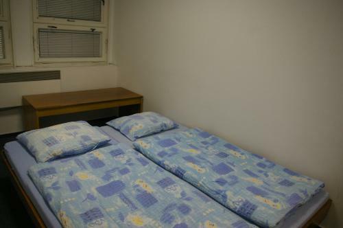 Hostal Penzion U Lipna