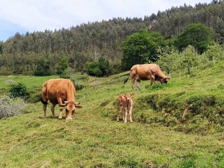 Hotel Puerta Del Oriente