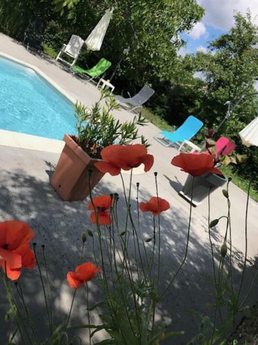 Holiday Home La Brijopa