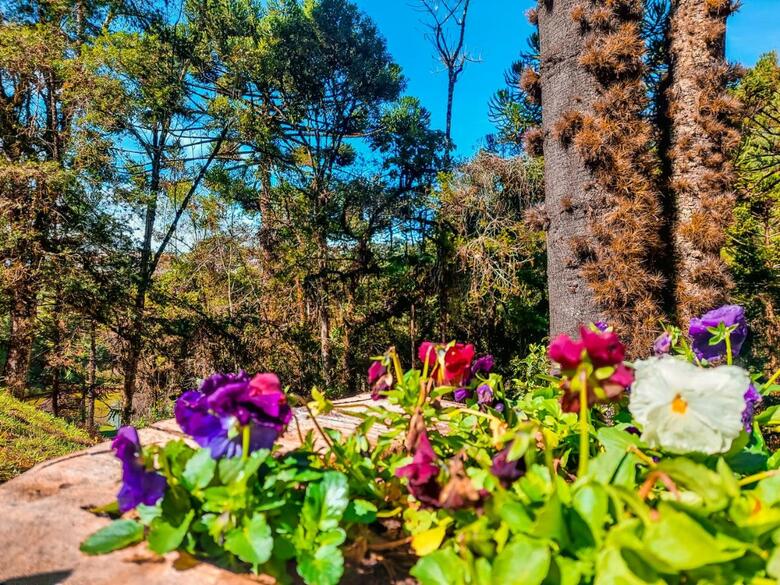 Hotel Golden Park Campos