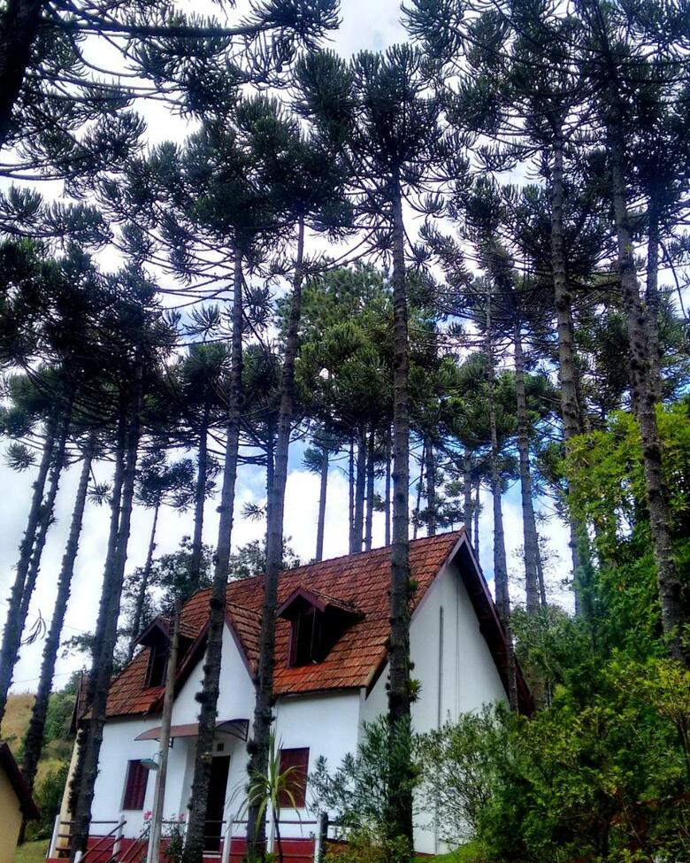 Hotel Golden Park Campos