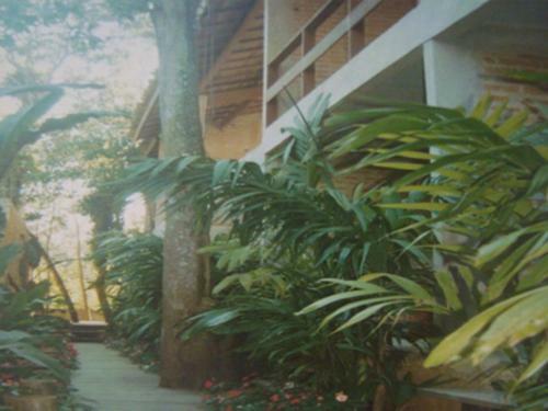 Apartamento Vila Flor Camburizinho Flats