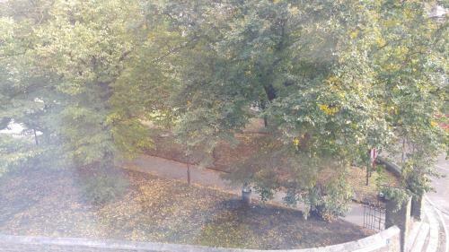 Hostal City View Hotel Stratford