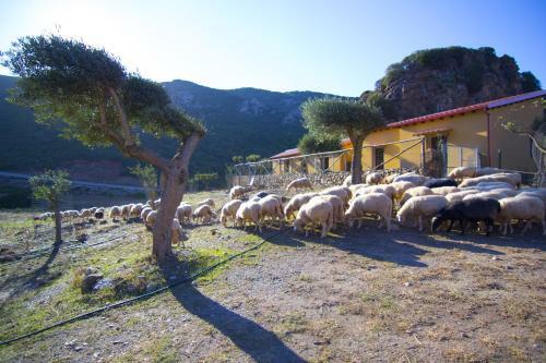 Agroturismo Agriturismo Sa Rocca