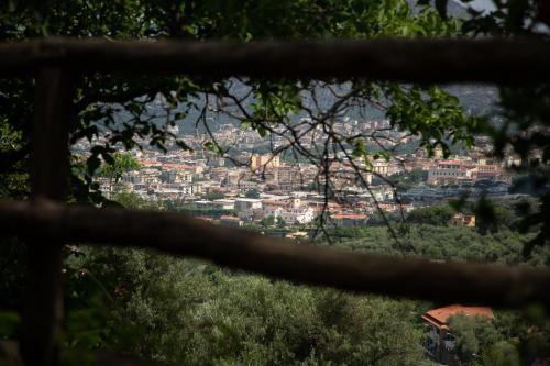 Bed & Breakfast L' Arancio In Fiore