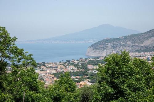 Bed & Breakfast L' Arancio In Fiore