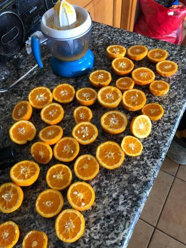 Bed & Breakfast L' Arancio In Fiore