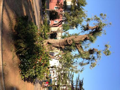 Apartamento Guest House38