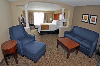 Hotel Comfort Inn & Suites Colonial
