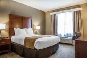 Hotel Comfort Inn & Suites Colonial