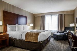 Hotel Comfort Inn & Suites Colonial