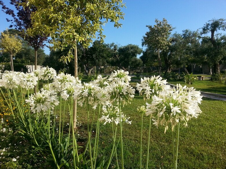 Agroturismo Willaria Country House