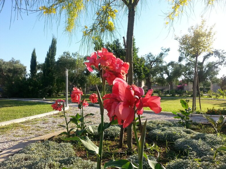 Agroturismo Willaria Country House