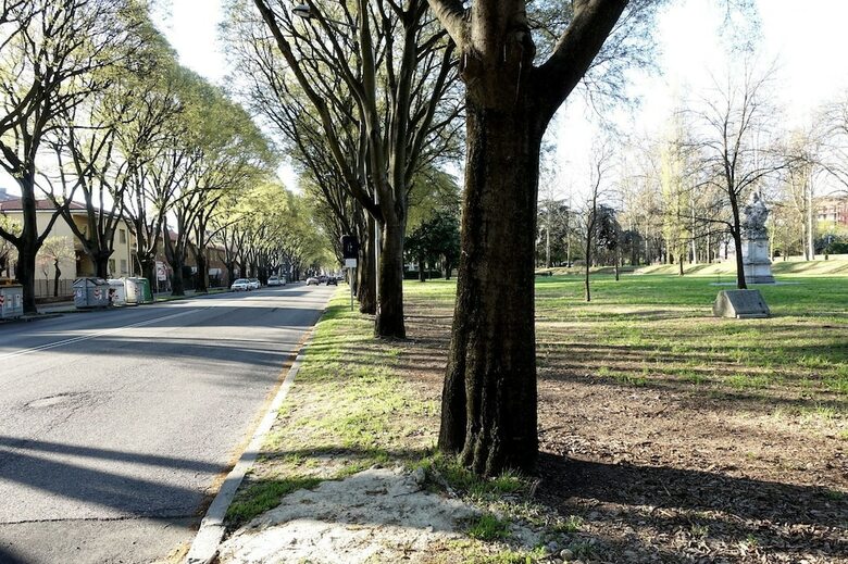 Elias Bed & Breakfast