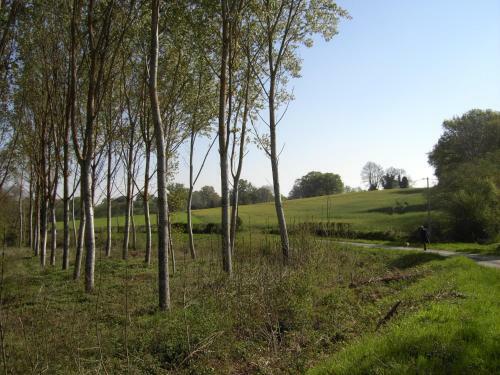 Bed & Breakfast Chambres D'h�tes Le Moulin De Barre