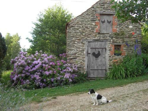 Bed & Breakfast Chambres D'h�tes Le Moulin De Barre