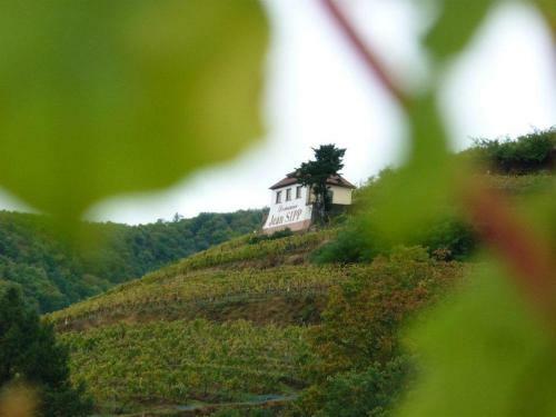 Hostal Domaine Jean Sipp