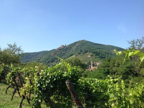 Hostal Domaine Jean Sipp