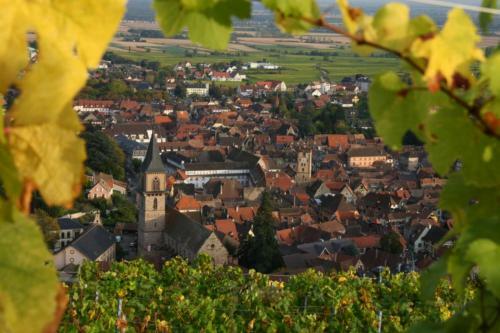 Hostal Domaine Jean Sipp