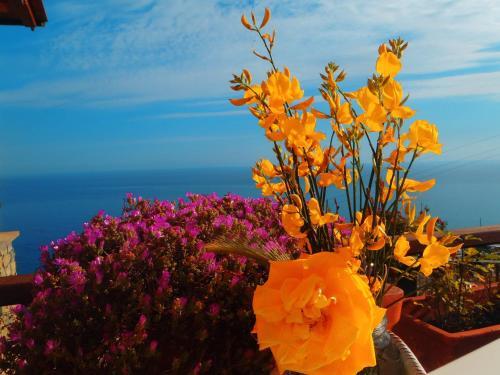 Bed & Breakfast La Serra Sul Mare