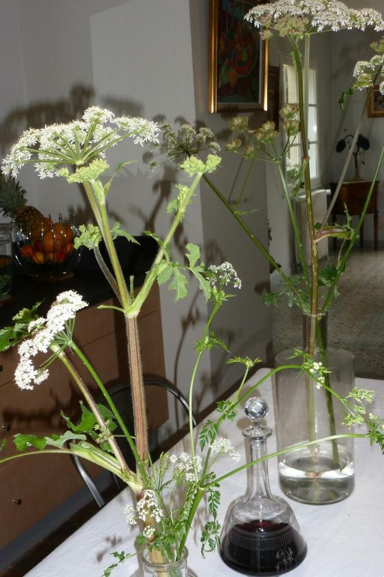 Bed & Breakfast Le Petit Matin