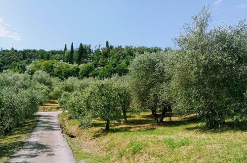 Apartamento Farmhouse Cipresso 1