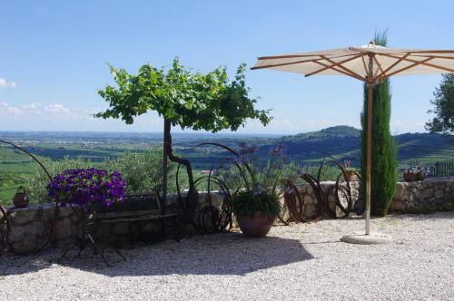 Agroturismo Relais Di Campagna I Tamasotti