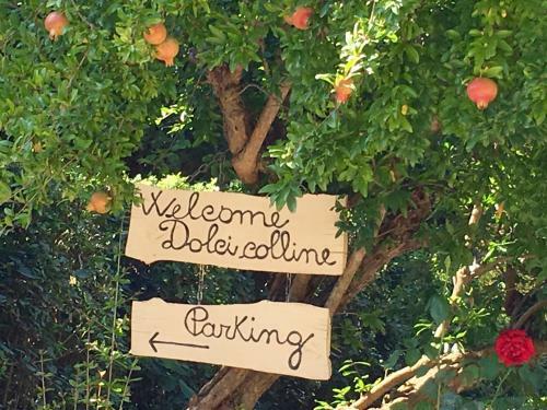 Agroturismo Dolci Colline Holidays Villas