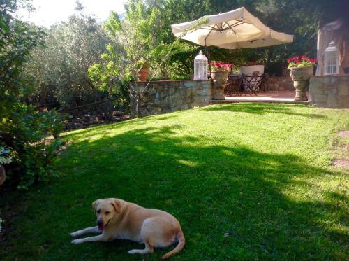 Agroturismo Dolci Colline Holidays Villas